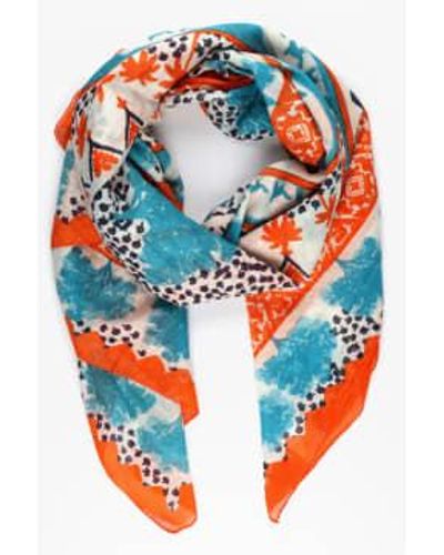 Miss Shorthair LTD Miss Shorthair 3148Blo Cotton Desert Camel And Palm Tree Print Scarf With Border In - Blu