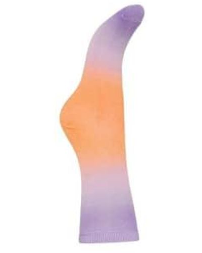 Ichi Iafaduma Persimmon Socks One Size - Purple