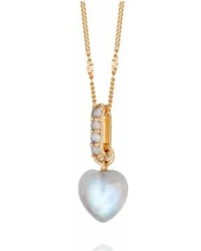 Daisy London Beloved Moonstone Heart Drop Necklace - Metallizzato