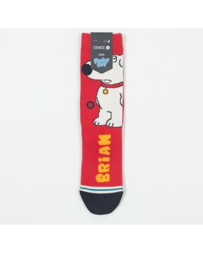 Stance X family guy collaboration les chaussettes chien en rouge