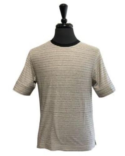 Circolo 1901 T-shirt rayé en maillot en coton et en lin en marron et noir cn3978 - Gris