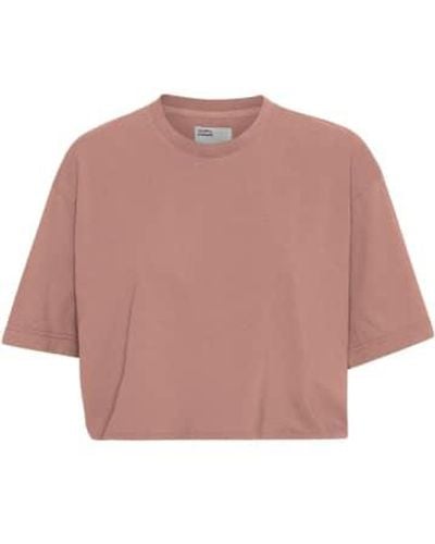 COLORFUL STANDARD Rosewood Mist Organic Boxy Crop T-shirt - Pink