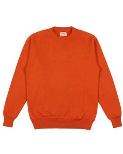 Sunray Sportswear Puamana raglan-sweatshirt flamme - Orange