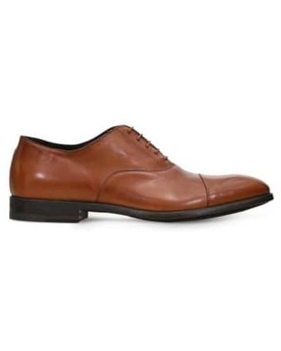Paul Smith Brent Oxford Shoes With Signature Stripe Details 8 Tan - Brown