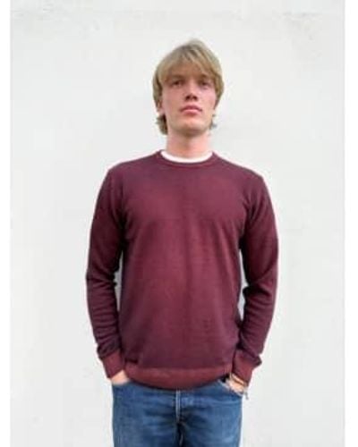 Crossley Ls crewneck cachemire tricot foncé - Violet