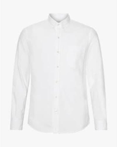 COLORFUL STANDARD Camisa botones óptico blanco