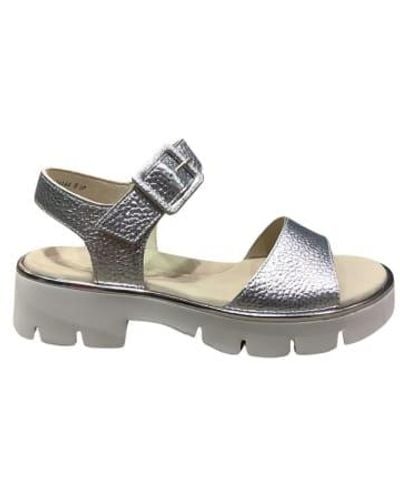 Paul Green Paul Joel Met Sandal - Grigio