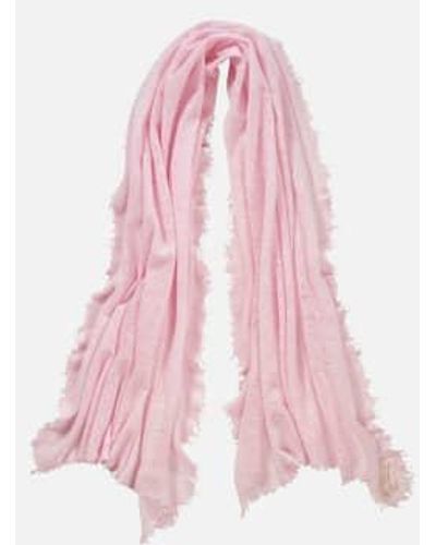 PUR SCHOEN Hand Felted Cashmere Soft Scarf + Gift - Pink