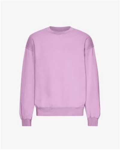 COLORFUL STANDARD Cherry Blossom Organic Cotton Crew Neck Sweatshirt S - Purple