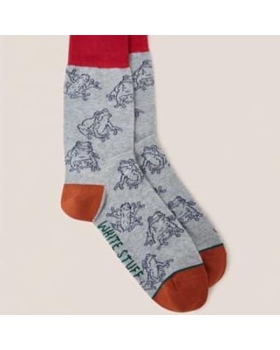 White Stuff Outline Frog Ankle Socks 7-9 - Gray