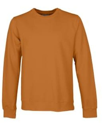 COLORFUL STANDARD Cs1005 Classic Organic Crew Ginger Small - Brown