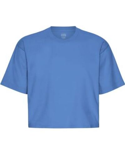 COLORFUL STANDARD Sky Organic Boxy Crop T-shirt Xs - Blue