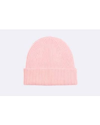 COLORFUL STANDARD Colorful Merino Hat Faded Pink - Rosa