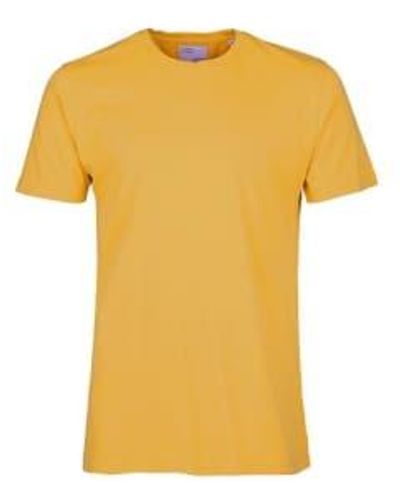 COLORFUL STANDARD Camiseta clásica quemada amarilla - Amarillo