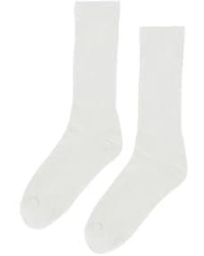 COLORFUL STANDARD Organic Active Sock Optical - Bianco