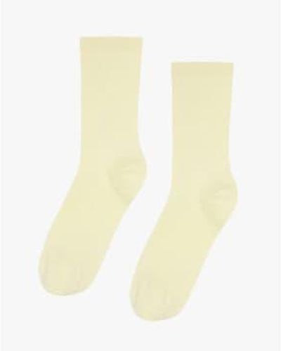 COLORFUL STANDARD Soft Classic Organic Socks 2 - Giallo