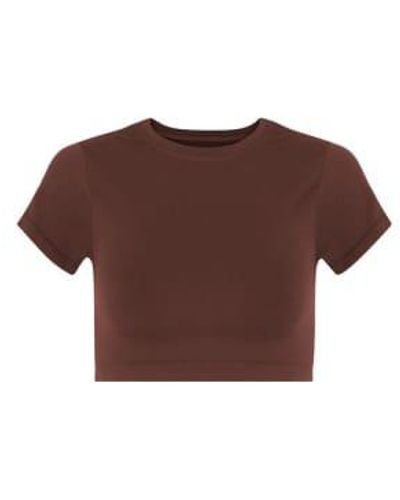 Prism Maroon Mindful Cropped T Shirt - Marrone