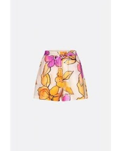 FABIENNE CHAPOT Boy Shorts Fairytale Mimosa / Cassis Fairytale - Rose