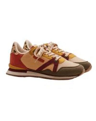 M. Moustache Suede Ecru And Bordeaux Andree Sneakers - Brown