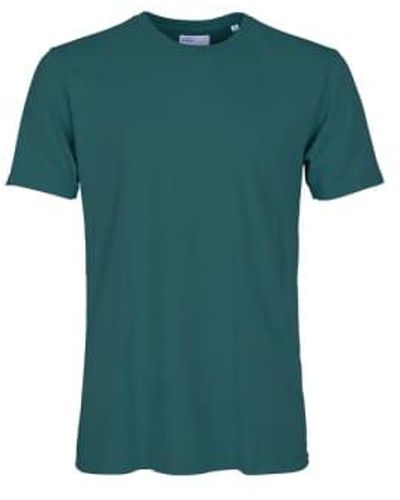 COLORFUL STANDARD Camiseta orgánica ver océano - Verde