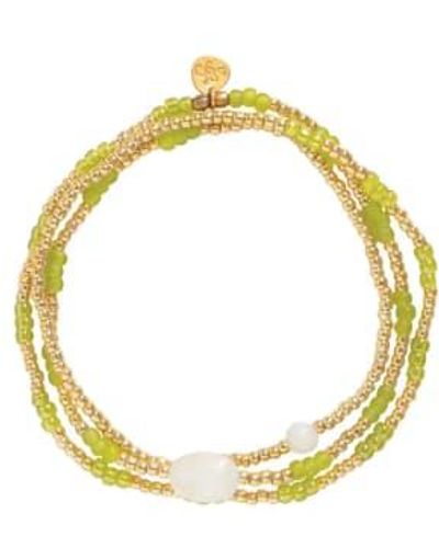 A Beautiful Story Bl23400 Energetic Moonstone Bracelet Gc - Giallo