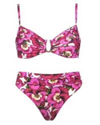 Maryan Mehlhorn 5600 bikini en rose pansy - Violet