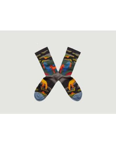 Bonne Maison Horse Socks With Contrasting Toe - Multicolore