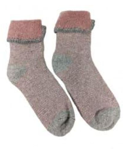 Joya And Grey Stripe Bed Socks 1 - Grigio