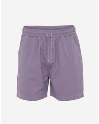 COLORFUL STANDARD Pantalones cortos sarga algodón orgánico neblina púrpura - Morado