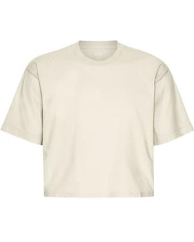 COLORFUL STANDARD Ivory Organic Boxy Crop T-shirt - White