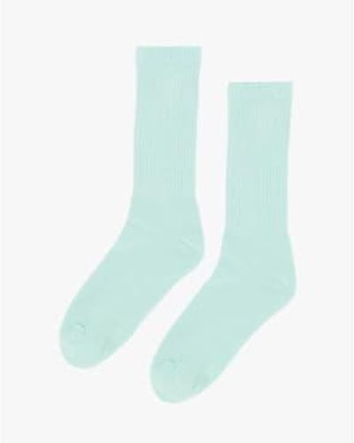 COLORFUL STANDARD Organic Active Socks Light - Blu