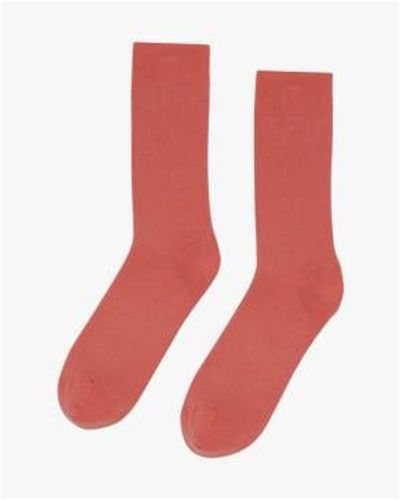 COLORFUL STANDARD Classic Organic Socks Bright Coral 36-40 - Red