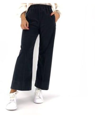 TRUE NYC Pantaloni Penny Donna 2 - Blu