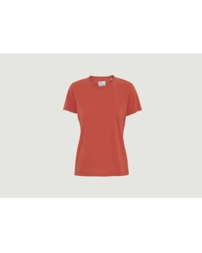 COLORFUL STANDARD Camiseta algodón orgánico lgado - Rojo