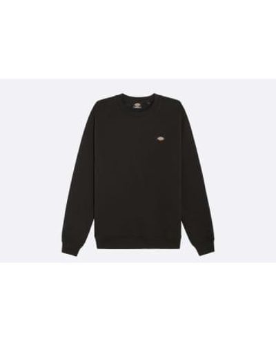 Dickies Oakport sweatshirt schwarz