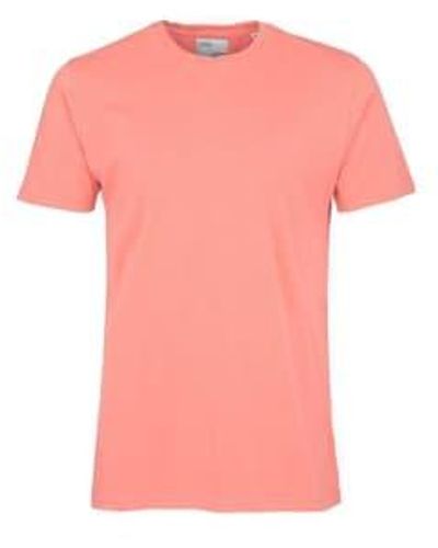 COLORFUL STANDARD T-shirt classique bright - Rose