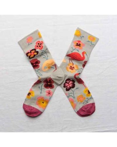 Bonne Maison Celadon Ibis Socks - Rosa