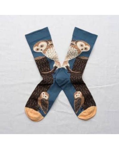 Bonne Maison Abyss Owl Knitted Socks - Blu