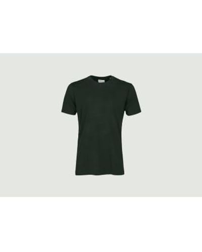 COLORFUL STANDARD Plain T Shirt - Verde