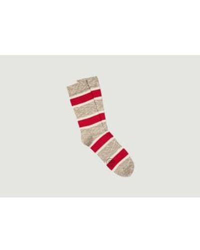Royalties Chaussettes Tommy - Rouge