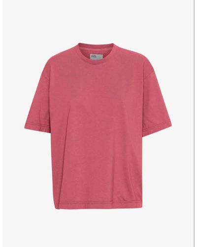 COLORFUL STANDARD T-shirt Organic Oversized Raspberry Pink Cs2056