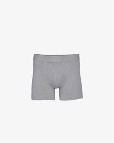 COLORFUL STANDARD Boxer Shorts S / Heather - Grey