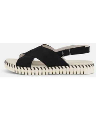 Ilse Jacobsen Tulip Sandal - Nero