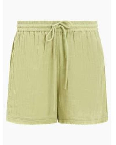 Great Plains Pantalones cortos tallados l bor fray kiwi - Verde