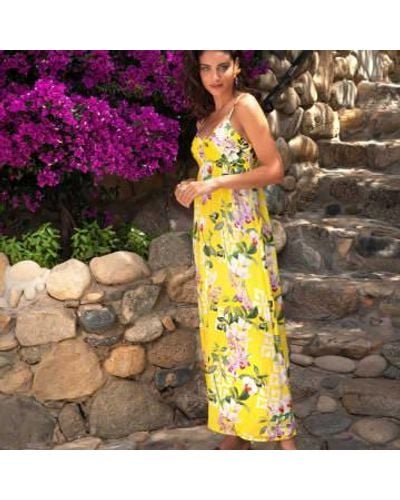 Lise Charmel Jardin delice long beach vestido en amarillo - Morado