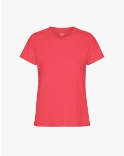 COLORFUL STANDARD T-shirt organique léger - Rose