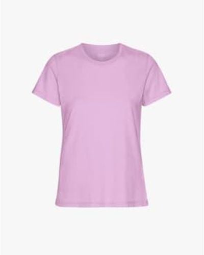 COLORFUL STANDARD T-shirt organique léger - Violet
