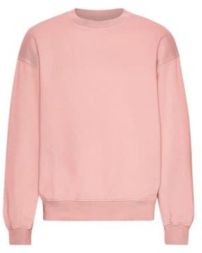 COLORFUL STANDARD Bright Coral Organic Oversized Crew Jumper Xs - Pink