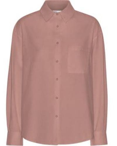 COLORFUL STANDARD Rosewood Mist Organic Oversized Shirt - Rosa