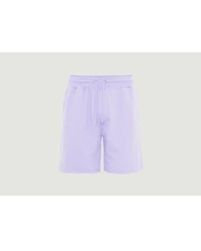 COLORFUL STANDARD Pantalones cortos porte clásicos en algodón orgánico. - Morado